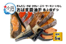 おばま醤油干 厳選6種詰め合わせ 計12枚 (ぶり、サーモン、サバ、いわし、かれい、ぎんだら)  【配送不可地域：北海道・沖縄・離島】  [BFAA066] 