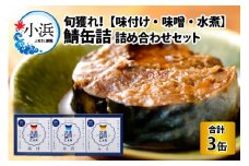 旬獲れ 鯖缶詰　3ヶ詰め合わせ(味付・味噌・水煮) [BFAA054]