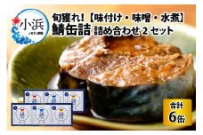 旬獲れ 鯖缶詰　3ヶ詰め合わせ(味付・味噌・水煮)×2セット [BFAA055]