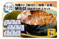 旬獲れ 鯖缶詰　3ヶ詰め合わせ(味付・味噌・水煮)×3セット [BFAA056]