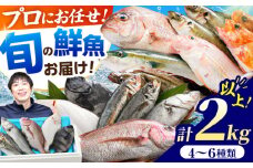 【加福鮮魚】「若狭小浜湾産地直送」旬の天然鮮魚お任せセット！ 計2kg以上    小浜市 / 加福鮮魚 【配送不可地域：北海道、北東北（秋田、青森、岩手）、九州、沖縄、離島】  [BFBC007] 
