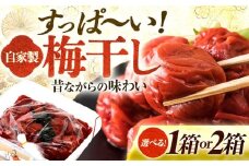 自家製 梅干し 900g × 1箱 / うめぼし 梅 うめ 福井県 小浜市 /  今富食料品店   [BFAN004]
