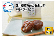 福井県産うめのあまつぶ（梅グラッセ）　16粒入 [BFAU004]