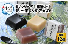 葛ようかんの3種類セット　葛三果(くずざんか）12個入 小浜市 / 井上耕養庵 [BFAH001]