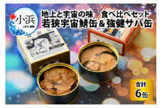 若狭宇宙鯖缶＆強健サバ缶　地上と宇宙の味　食べ比べセット 計6缶 [BFBT003]