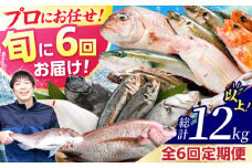 【定期便】 【全6回(隔月発送)】 【下処理済】 旬の天然鮮魚 2kg おまかせ セット 【加福鮮魚】「若狭小浜港産地直送」！　小浜市 / 加福鮮魚  【配送不可地域：北海道、北東北（秋田、青森、岩手）、九州、沖縄、離島】  [BFBC016] 