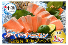 【先行予約】国産 ふくいサーモン 200g×5パック 計1kg 【2025年6月以降順次発送】  【配送不可地域：北海道・沖縄・離島】  [BFAA074] 