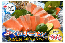 【先行予約】国産 ふくいサーモン 200g×3パック 合計600g【2025年6月以降順次発送】  【配送不可地域：北海道・沖縄・離島】  [BFAA076] 