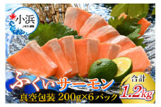 【先行予約】国産 ふくいサーモン 200g×6パック 計1.2kg【2025年6月以降順次発送】  【配送不可地域：北海道・沖縄・離島】  [BFAA073] 