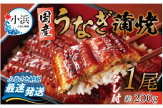 冷蔵 国産 うなぎ 蒲焼 1尾 約200g タレ付 / 鰻 うなぎ ウナギ / 【配送不可地域：北海道・沖縄・離島】 小浜市 / 真魚源 [BFCJ001] 