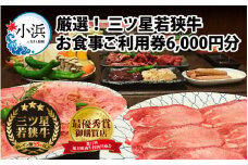 三ツ星若狭牛 五味焼のお食事ご利用券6,000円分【お食事券 テイクアウト 焼肉 三ツ星 若狭牛 ブランド牛 和牛 厳選  A-5 等級 ランク 精肉 チケット】 [BFCN001]