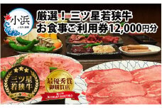 三ツ星若狭牛 五味焼のお食事ご利用券12,000円分【お食事券 テイクアウト 焼肉 三ツ星 若狭牛 ブランド牛 和牛 厳選  A-5 等級 ランク 精肉 チケット】 [BFCN002]
