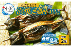 浜焼き鯖 400g  2尾 【配送不可地域：離島】 小浜市 / 朽木屋 [BFCM003] 