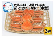 【先行予約/11月7日より順次発送】 若狭おばま 茹でせいこがに 3杯 調理方法の写真入り説明書付き / コッペガニ 蟹 メスガニ 小浜市 / 桝屋商店 【配送不可地域：北海道・沖縄・離島】  [BFAO009] 