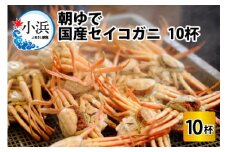 【先行予約/11月7日より順次発送】朝ゆで国産セイコガニ　10杯  【配送不可地域：北海道・沖縄・離島】  [BFAA005] 