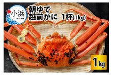 【先行予約/11月7日より順次発送】朝ゆで 越前がに1杯　【1kg】 / ずわいがに 蟹 ズワイガニ 小浜市 / 小浜海産物 【配送不可地域：北海道・沖縄・離島】  [BFAA003] 