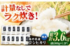 【令和6年産】福井県産こしひかり 300g(約2合) × 12パック / 米 精米 お米 小浜市 / シマダ農園 [BFAV002]