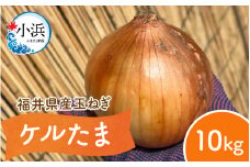 【 先行予約 / 7月上旬より発送】 福井県産 玉ねぎ ケルたま 10kg / 野菜 やさい タマネギ / 小浜市 たまねぎ / 今富の宝 [BFCI001]