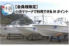 【会員様限定】小浜マリーナで利用できるMポイント30,000円分  小浜市 / 小浜マリーナ  [BFCT002]