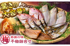 若狭の味 干物詰合せ（梅） | 干物 干物セット 干物詰め合せ 干物詰め合わせ ひもの 魚干物 人気 鰤 ブリ 鯖 さば イワシ カレイ タイ 鯛 アジ 鯵 いか イカ   小浜市 / まるほ商店 【配送不可地域：離島】  [BFCS007] 