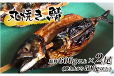 丸焼き鯖 原料600g以上(焼き上がり500g以上)×2本【配送不可地域：北海道・沖縄・離島】 小浜市 / 真魚源 [BFCJ005] 