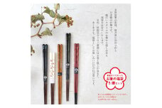 箸屋がこだわったお箸の福袋 5膳入｜日本製 箸 伝統工芸品 日用品 木彫り 木 若狭塗 天然 おしゃれ カラフル 新年 新しいお箸 新生活 新生活準備 5色 塗り箸 国産 送料無料  [BFDC001]