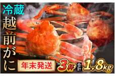 【先行予約/12月25日より順次発送】【年末希望】 越前がに 600ｇ×3杯 ズワイガニ ずわいがに ボイル 冷蔵 小浜市 / まるほ商店 【配送不可地域：北海道・沖縄・離島】[BFCS035]