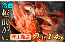 【先行予約/12月25日より順次発送】【年末希望】 越前がに 700ｇ×2杯 ズワイガニ ずわいがに ボイル 冷蔵 小浜市 / まるほ商店 【配送不可地域：北海道・沖縄・離島】[BFCS037]