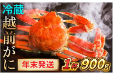 【先行予約/12月25日より順次発送】【年末希望】 越前がに 900ｇ×1杯 ズワイガニ ずわいがに ボイル 冷蔵 小浜市 / まるほ商店 【配送不可地域：北海道・沖縄・離島】[BFCS042]