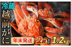 【先行予約/12月25日より順次発送】【年末希望】 越前がに 600ｇ×2杯 ズワイガニ ずわいがに ボイル 冷蔵 小浜市 / まるほ商店 【配送不可地域：北海道・沖縄・離島】[BFCS034]