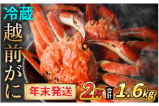 【先行予約/12月25日より順次発送】【年末希望】 越前がに 800ｇ×2杯 ズワイガニ ずわいがに ボイル 冷蔵 小浜市 / まるほ商店 【配送不可地域：北海道・沖縄・離島】[BFCS040]