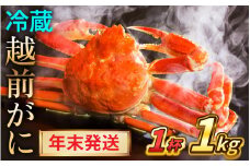 【先行予約/12月25日より順次発送】【年末希望】 越前がに 1kg×1杯 ズワイガニ ずわいがに ボイル 冷蔵 小浜市 / まるほ商店 【配送不可地域：北海道・沖縄・離島】[BFCS045]