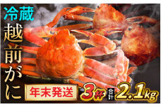 【先行予約/12月25日より順次発送】【年末希望】 越前がに 700ｇ×3杯 ズワイガニ ずわいがに ボイル 冷蔵 小浜市 / まるほ商店 【配送不可地域：北海道・沖縄・離島】[BFCS038]