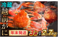 【先行予約/12月25日より順次発送】【年末希望】 越前がに 900ｇ×3杯 ズワイガニ ずわいがに ボイル 冷蔵 小浜市 / まるほ商店 【配送不可地域：北海道・沖縄・離島】[BFCS044]