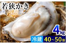 【期間限定】若狭小浜ブランド 若狭かき（加熱用）4kg 40〜50個入り | 牡蠣 かき カキ 真牡蠣 加熱用牡蠣 殻付き牡蠣 カンカン焼き 貝 生牡蠣 冷蔵  【配送不可地域：北海道・沖縄・離島】  [BFAO012] 