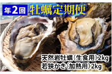 【定期便】【年2回】若狭の天然岩牡蠣（生食用）と若狭小浜ブランド 若狭かき（加熱用）2kg×2回 計4kg  【配送不可地域：北海道・沖縄・離島】  [BFAO014] 