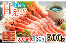 子持ち甘えび 約30尾×1箱（500ｇ）  【配送不可地域：北海道・沖縄・離島】  [BFAA049] 