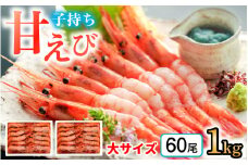 子持ち甘えび  約30尾 ×2箱（1kg）  【配送不可地域：北海道・沖縄・離島】  [BFAA051] 