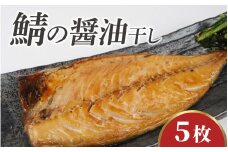 【TVで紹介されました】鯖の醤油干し / 旅サラダ 鯖 さば 干物 醤油干し 醤油 ふっくら フライ 天ぷら ジューシー【配送不可地域：北海道・沖縄・離島】 小浜市 / 真魚源  [BFCJ008] 
