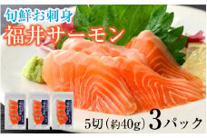 【先行予約】旬鮮お刺身　福井サーモン【2025年6月以降順次発送】  【配送不可地域：北海道・沖縄・離島】  [BFAA071] 