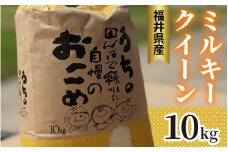 【先行予約／2025年10月以降順次発送】福井県産 ミルキークイーン 白米 10kg / 米 お米 おこめ 精米 ミルキークイーン 10キロ 小浜市 / Grow Farm [BFDI001]