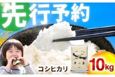 【 先行予約 /11月以降発送】 【令和7年産】 特別栽培米 福井県産 コシヒカリ 10kg お米 白米 小浜市 / 今富の宝 [BFCI005]