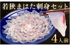 【着日指定可能】【冷蔵でお届け】若狭まはた刺身セット4人前   小浜市 / 若狭ふぐの宿 下亟 【配送不可地域：北海道・沖縄・離島】  [BFAF015] 