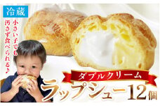 シュークリーム ダブルクリーム ラップシュー 12個入り おやつ スイーツ 洋菓子 【配送不可地域：北海道、北東北（秋田、青森、岩手）、九州、沖縄、離島】 [BFBF011] 