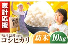 【 先行予約 /10月以降配送】 【令和7年産】福井県産 こしひかり 白米10kg / 小浜市 / Grow Farm [BFDI002]