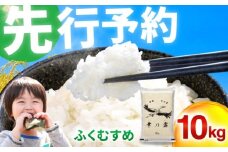 【 先行予約 /11月以降発送】 【令和7年産】 特別栽培米 福井県産 ふくむすめ 10kg お米 白米 小浜市 / 今富の宝 [BFCI006]