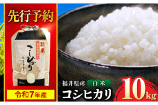 【 先行予約 /9月中旬以降発送】　【令和7年産】 福井県産 コシヒカリ 白米 10kg / 米 お米 精米 国産米 / 小浜市 / 北川博司 [BFDG001]