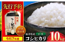 【 先行予約 /9月中旬以降発送】　【令和7年産】 福井県産 特別栽培米4 コシヒカリ 白米 10kg / 米 お米 精米 国産米 / 小浜市 / 北川博司 [BFDG002]