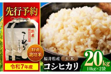 【 先行予約 /9月中旬以降発送】　【令和7年産】 福井県産 特別栽培米4 コシヒカリ 玄米 10kg×2 （20kg） / 米 お米 国産米 / 小浜市 / 北川博司 [BFDG003]