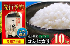 【 先行予約 /9月中旬から発送】　【令和7年産】 福井県産 ラクト農法 コシヒカリ 白米 10kg / 小浜市 / 北川博司 [BFDG006]